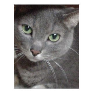 Russian Blue Gray Cat Custom Letterhead