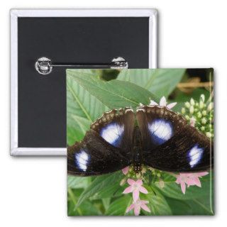 Blue Spotted Butterfly Button