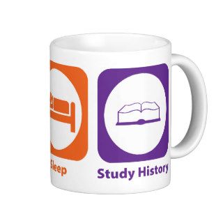 Eat Sleep Study History Mug