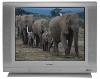 Sharp 20 F640 20" Flat Screen TV (Silver) Electronics
