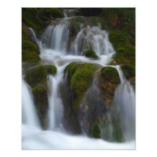 Milk Fountain Photograph