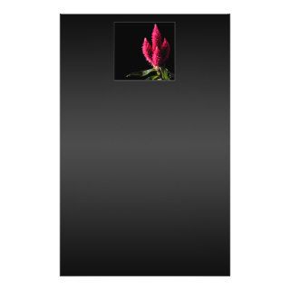 Celosia Caracas. Cockscombs. Pink Flowers. Custom Flyer