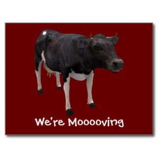 We're Moving Dairy Cow Funny Farm Humor Post Card