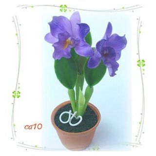 Cattleya Orchid W Pot Miniature Clay Flower Plant Garden Wedding Gift Ca.10   Artificial Flowers