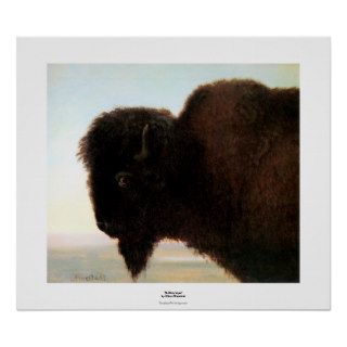 Buffalo Head art Albert Bierstadt bison painting Poster
