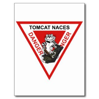 Tomcat NACES Post Card
