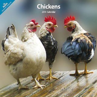 Chickens 2014 Wall Calendar  Pet Memorial Products 