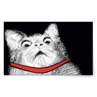 Surprised Cat Gasp Meme   Rectangle Stickers