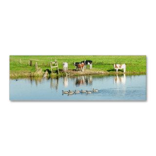 Cows watching Ducks in River Photo Bookmarks Cards Business Card Templates