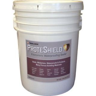 ProteShield 5 gal. Elastomeric Waterproof Sealer PSHLD5G