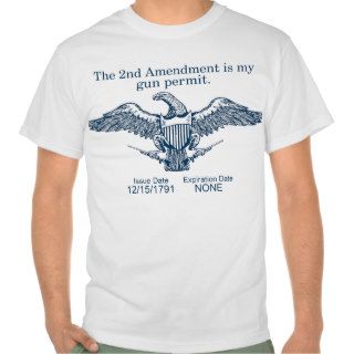 2nd amendment T Shirt