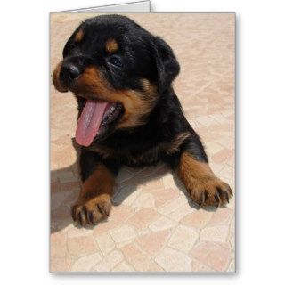Tired Rottweiler Pup Yawning Card