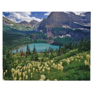 Beargrass above Grinnell Lake in the Many Puzzles