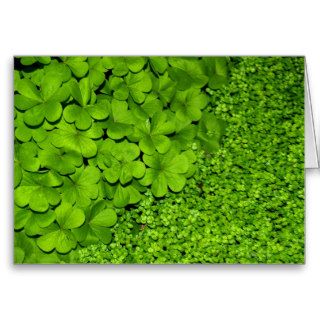 Green Clover Greeting Cards