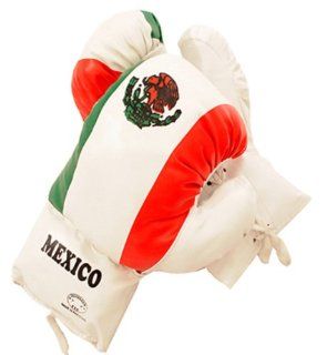 FLAG OF MEXICO 16 OUNCE BOXING GLOVES 