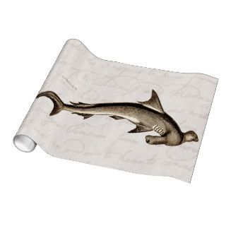 Vintage 1800s Hammerhead Shark Old Hammer Head Wrapping Paper