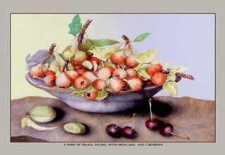 Buy Enlarge 0 587 11586 6C12X18 Dish of Small Pears With Medlars and Cherries  Canvas Size C12X18   Prints