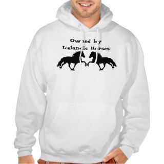 Another Horse Hooded Pullover