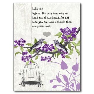 Luke 127 you are more valuable than many sparrows postcard