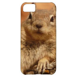 Lounging Chipmunk Cover For iPhone 5C