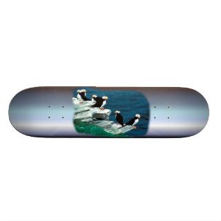 Alaska Puffins Feathered Colorful Birds Skate Board
