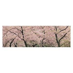 Trademark Fine Art 16 in. x 47 in. Spring Time Impressions Canvas Art GO0021 C1647GG
