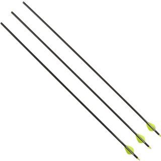 Allen Company 31 Inch Adult Carbon Arrows (3 Pack)  Hunting Arrows  Sports & Outdoors