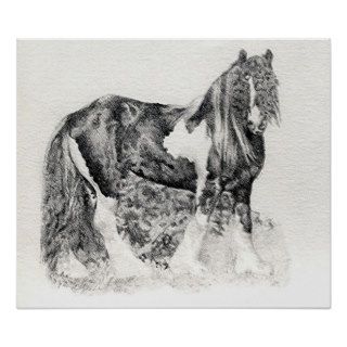 Gypsy Cob Horse Portrait Poster Print
