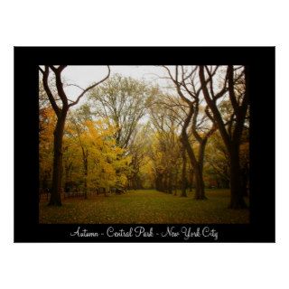 Central Park   New York City   Autumn Posters