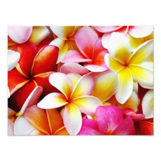Plumeria Frangipani Hawaii Flower Customized Photo Print