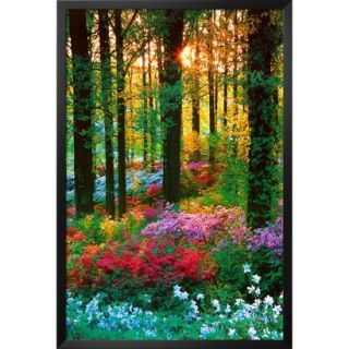 Art   Flower Forest Framed Poster