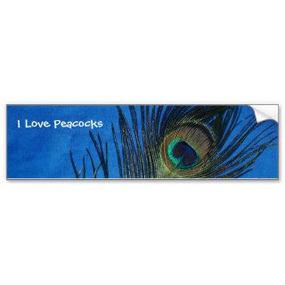 Blue Single Peacock Feather Bumper Sticker