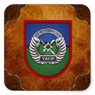 [500] TACP Beret Flash & Badge Stickers