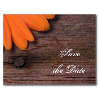 Rustic Orange Daisy Country Wedding Save the Date Postcards