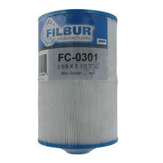 Filbur FC 0301 Pool and Spa Filter, FC0301 Toys & Games