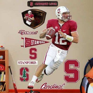 (48x78) NCAA/NFLPA Stanford Cardinal Andrew Luck Wall Decal Sticker   Prints