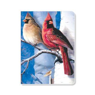 ECOeverywhere Cardinals and Birch Sketchbook, 160 Pages, 5.625 x 7.625 Inches (sk63028)  Storybook Sketch Pads 