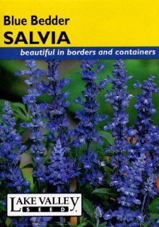 Lake Valley 3473 Salvia Blue Bedder Heirloom Seed Packet  Flowering Plants  Patio, Lawn & Garden