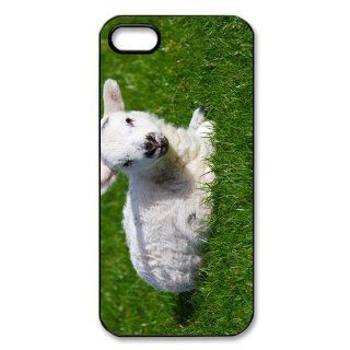 Lamb Sheep iPhone 5 Case Back Case for iphone 5 Cell Phones & Accessories