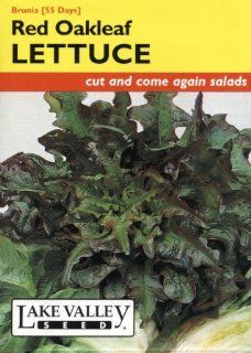 Lake Valley 693 Lettuce Red Oakleaf Brunia Seed Packet  Vegetable Plants  Patio, Lawn & Garden
