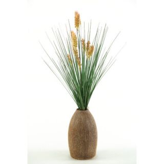 Silks Onion Dogstail Grass in Round Tapered Ceramic Decorative