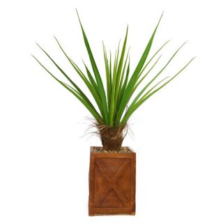 Tall Agave Plant with Cocoa Skin in Fiberstone Planter