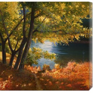 Global Gallery Radura sul fiume by Adriano Galasso Stretched Canvas