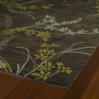 Kaleen Rug Co. Inspire 64 Vision Rug