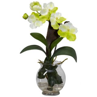 Nearly Natural Mini Vanda with Fluted Vase Silk Flower Arrangement in
