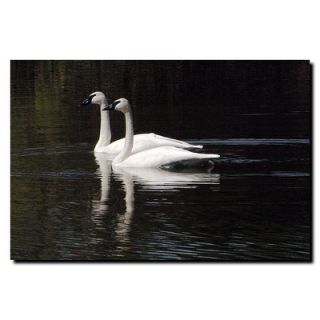 Trademark Art Twin Swans by Kurt Shaffer, Canvas Art   24 x 32