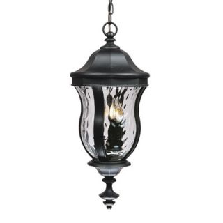 Savoy House Monticella 4 Light Outdoor Hanging Lantern