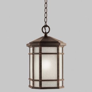 Cameron 1 Light Outdoor Hanging Lantern