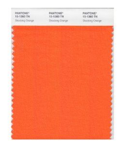 Pantone 15 1360 Nylon Brights Color Swatch Card   House Paint  