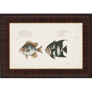 Paragon Antique Fish by Bloch Waterfront Art (Set of 4)   19 x 27